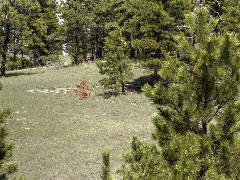 50 SHEEPHERDER TRAIL, Roundup, MT 59072