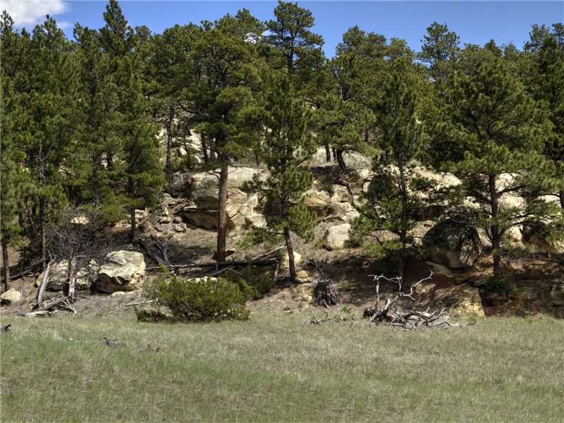 50 SHEEPHERDER TRAIL, Roundup, MT 59072