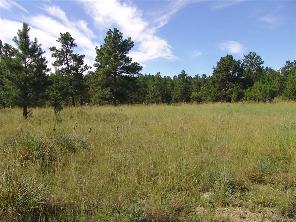 47 Winchester, Roundup, MT 59072