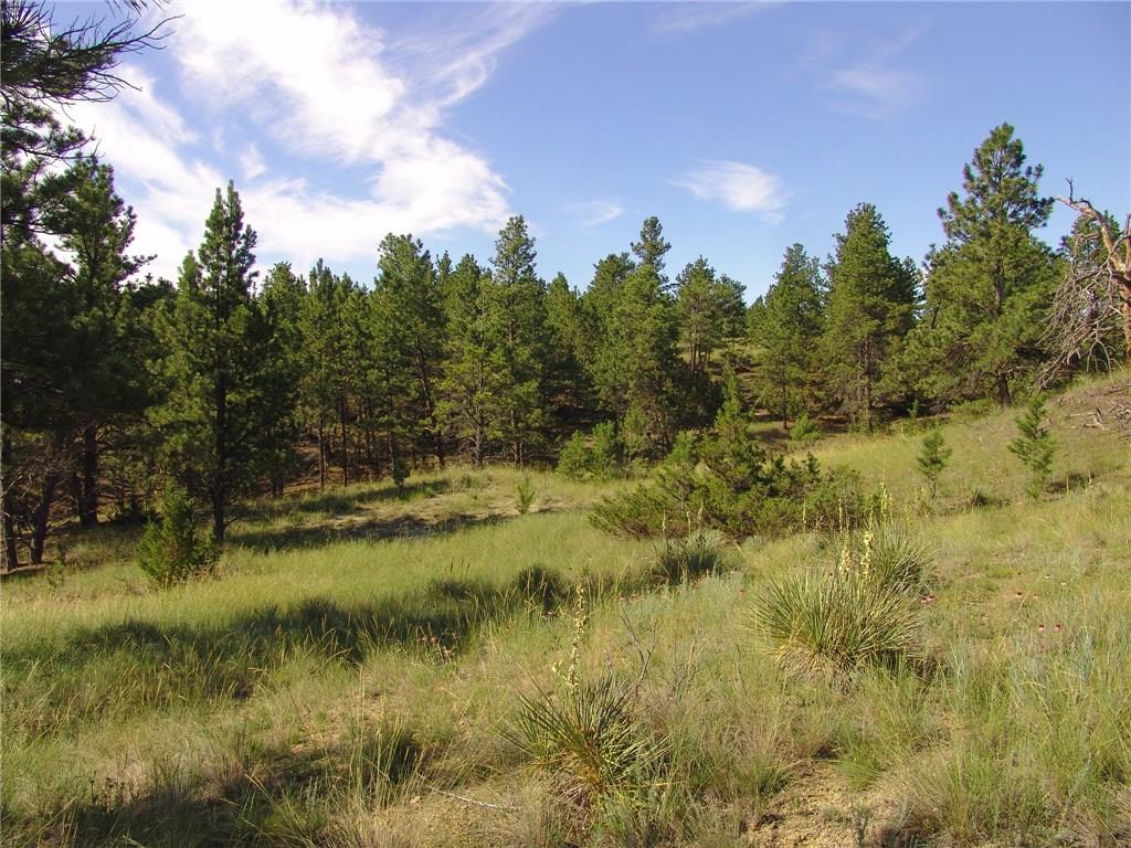 47 Winchester, Roundup, MT 59072