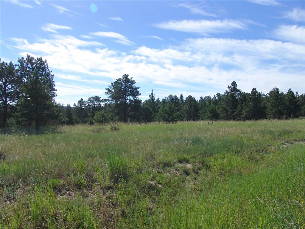47 Winchester, Roundup, MT 59072