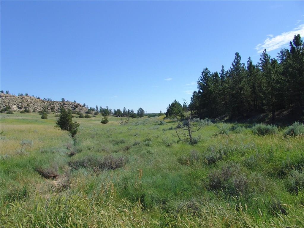 2 Winchester, Roundup, MT 59072