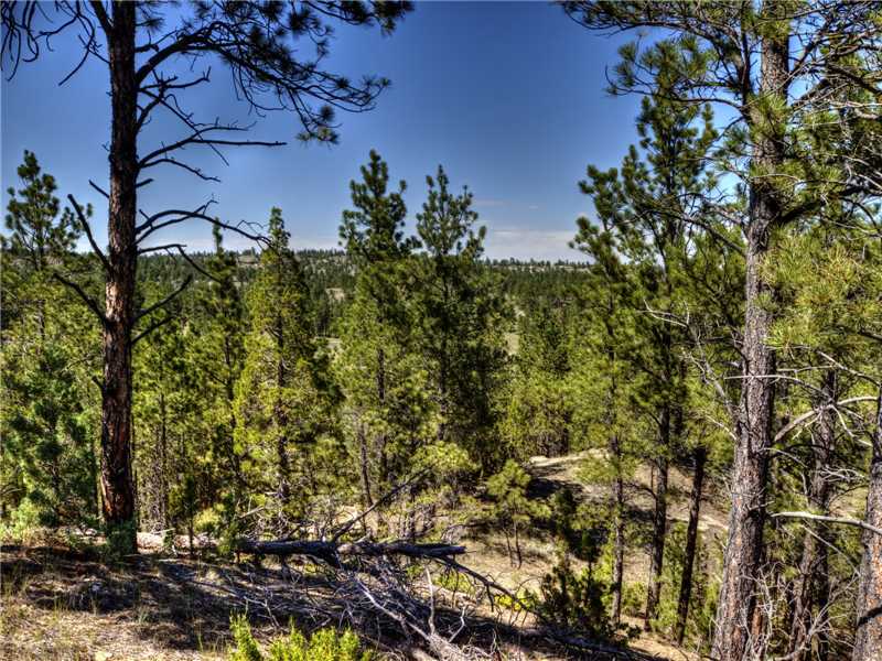2 BUNDY TRAIL, Roundup, MT 59072