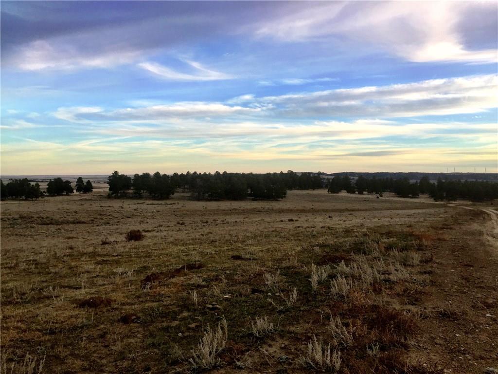 Tbd Pineneedle DRIVE, Shawmut, MT 59078