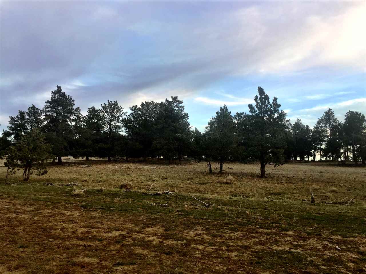 TBD Pineneedle Dr, Shawmut, Other, MT 59078