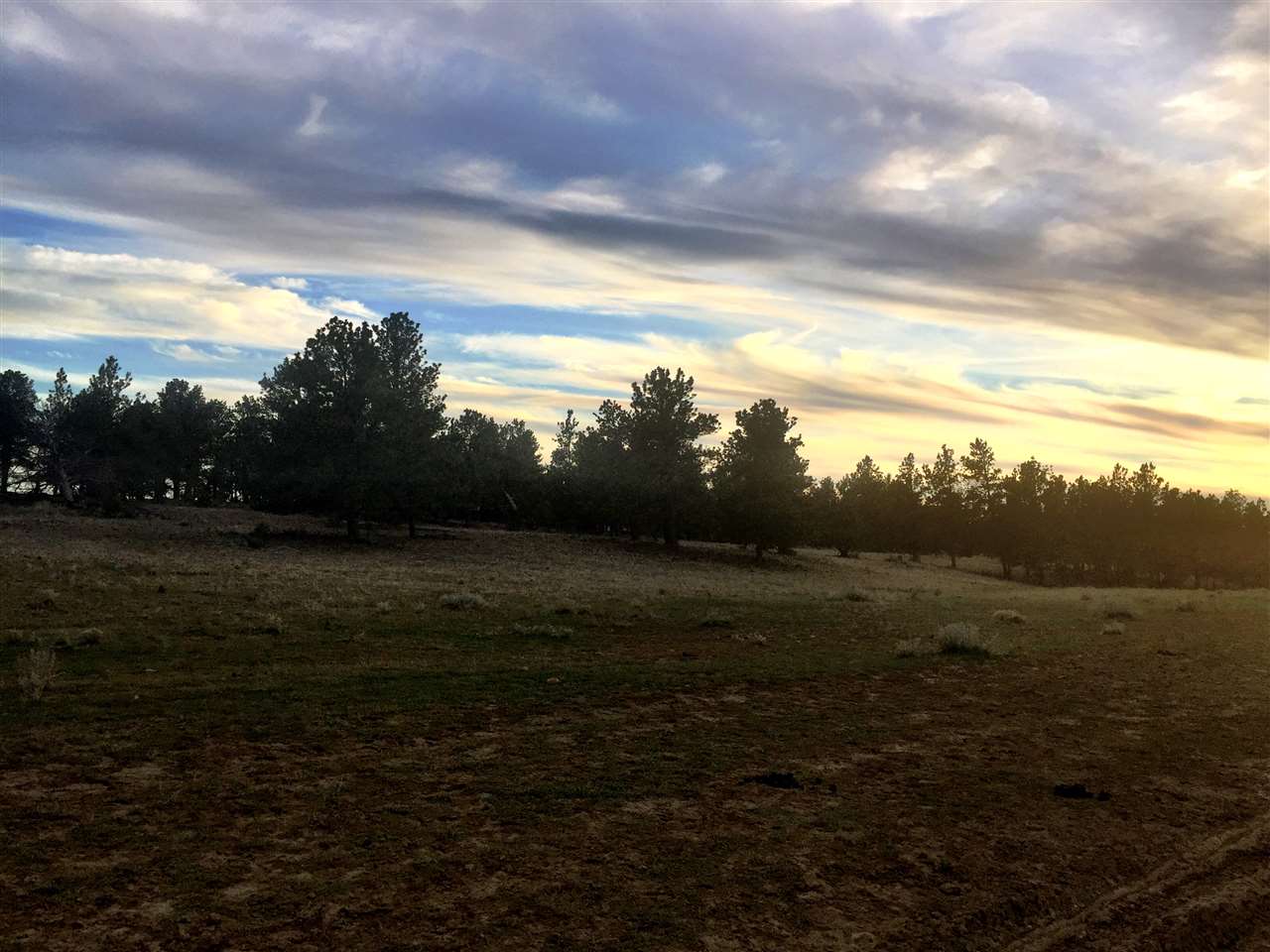 TBD Pineneedle Dr, Shawmut, Other, MT 59078