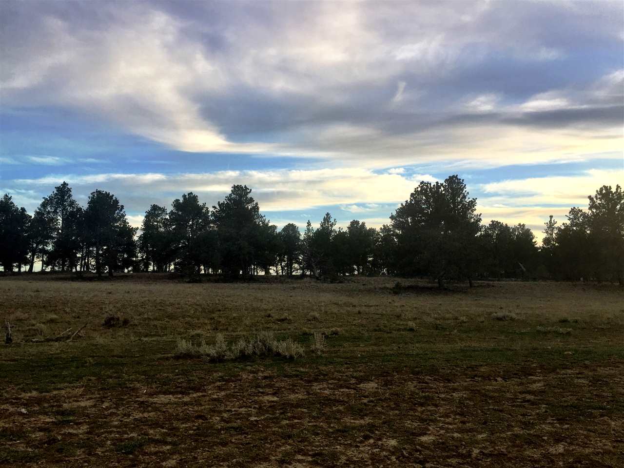 TBD Pineneedle Dr, Shawmut, Other, MT 59078