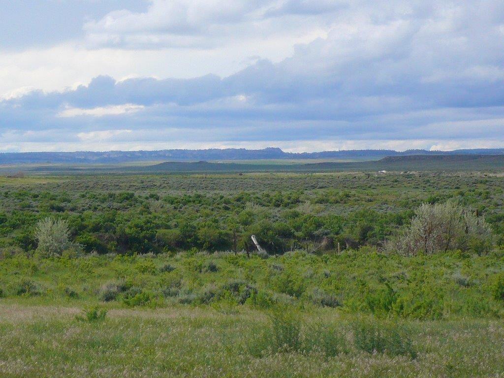 9751 Bison, Shepherd, MT 59079