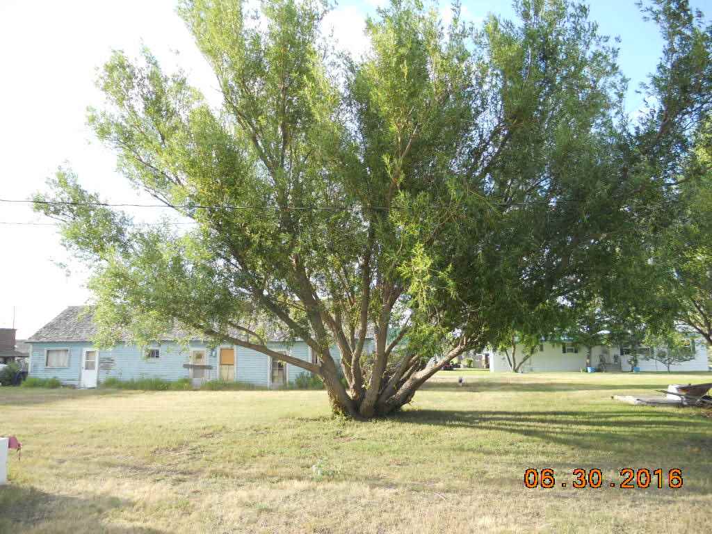59 Two Dot Hwy, Other, MT 59085