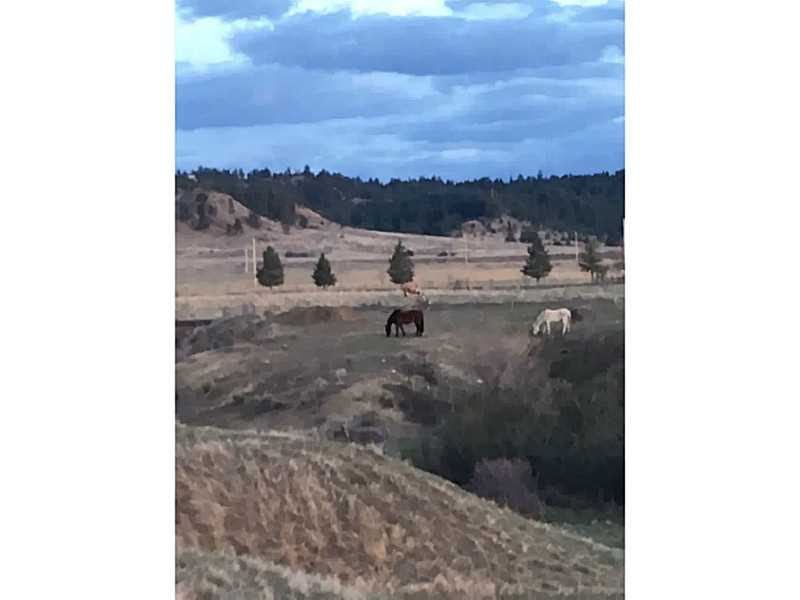 000 EAGLE CLIFF, Billings, MT 59101