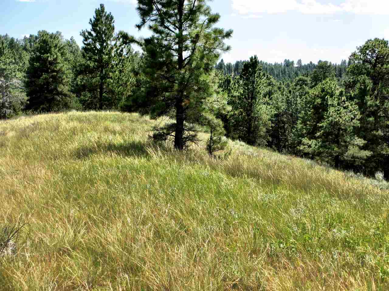 TBD Fort Billing Rd, Jordan, Other, MT 59223