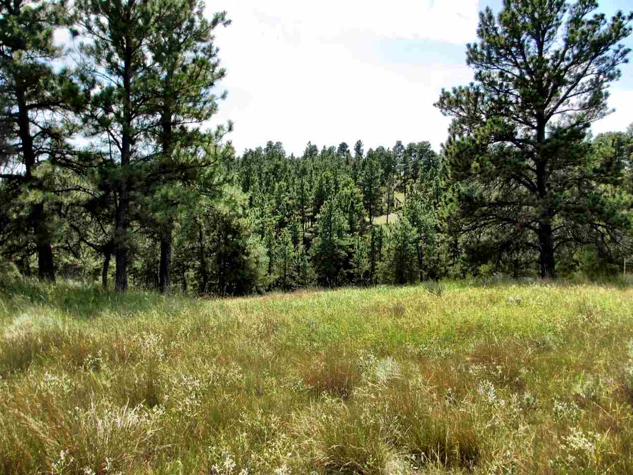 TBD Fort Billing Rd, Jordan, Other, MT 59223