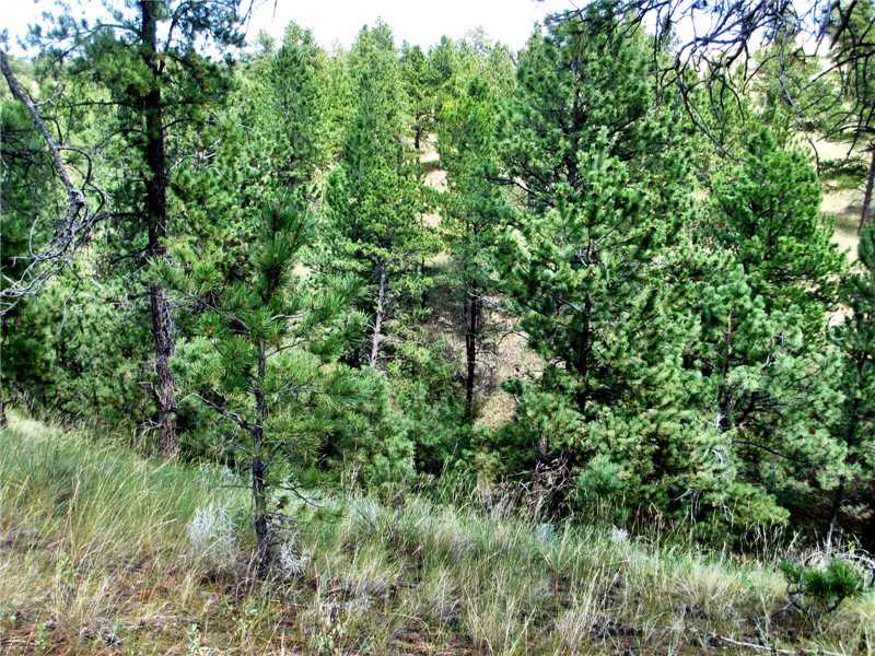 Nhn Fort Billing Rd, Jordan, Other-See Remarks, MT 59223