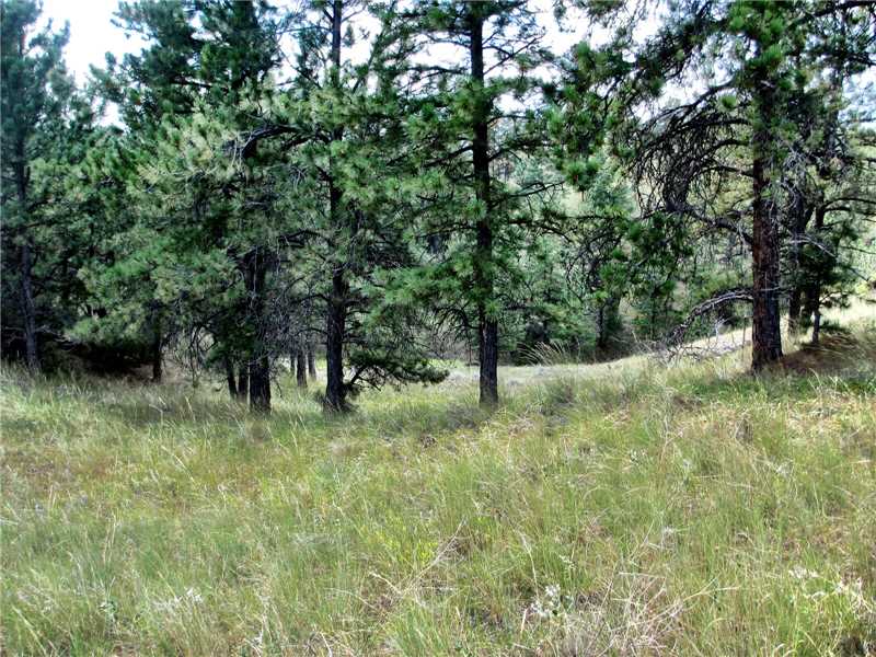 Nhn Fort Billing Rd, Jordan, Other-See Remarks, MT 59223