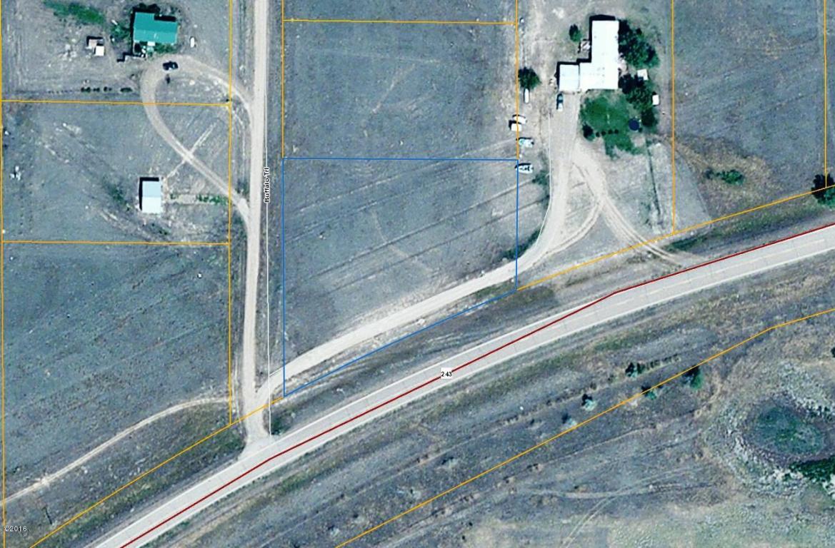 Lot 18 Sleeping Buffalo, Saco, MT 59261