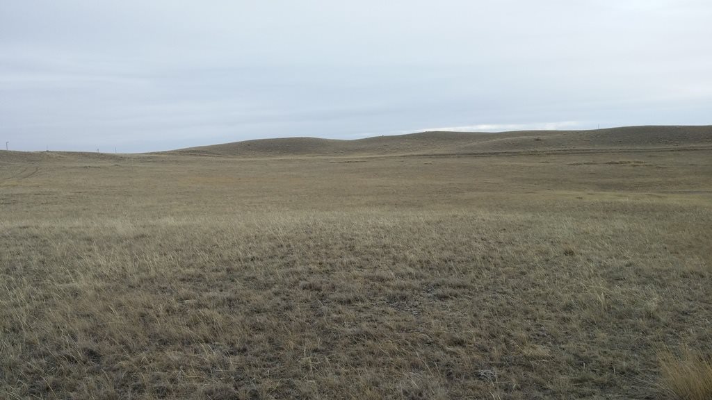 3836 W Meadowlark Lane, Augusta, MT 59410