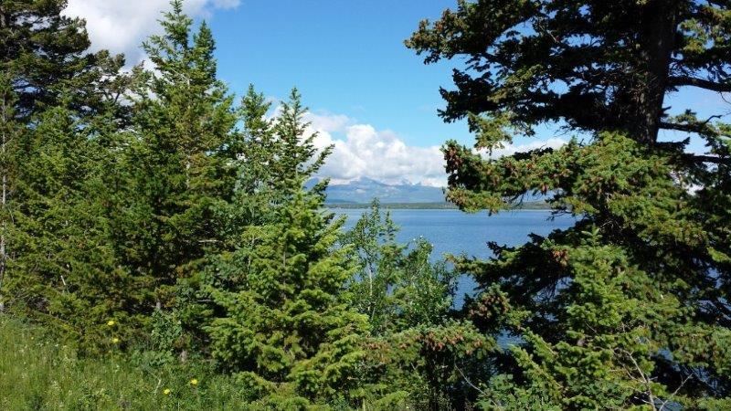 NHN Duck Lake Road Lot 1, Babb, Other, MT 59411