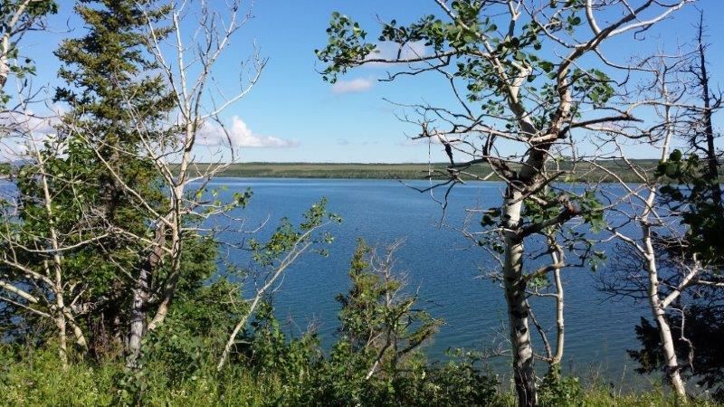 NHN Duck Lake Road Lot 1, Babb, Other, MT 59411