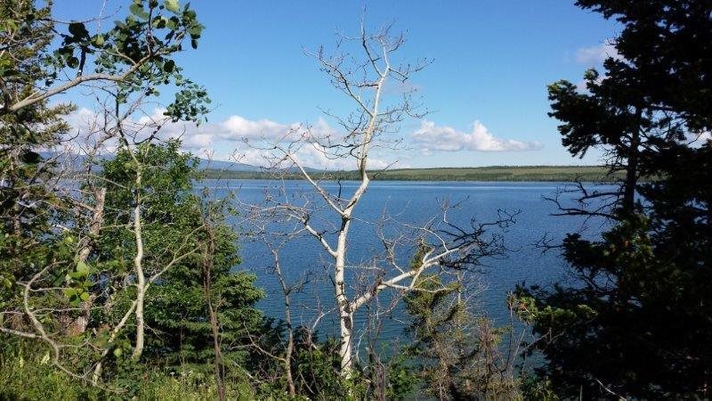 NHN Duck Lake Road Lot 2, Babb, Other, MT 59411