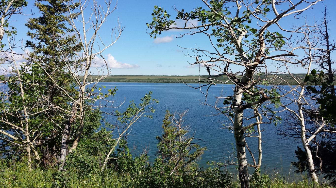 Duck Lake Road Lot 1, Babb, MT 59411