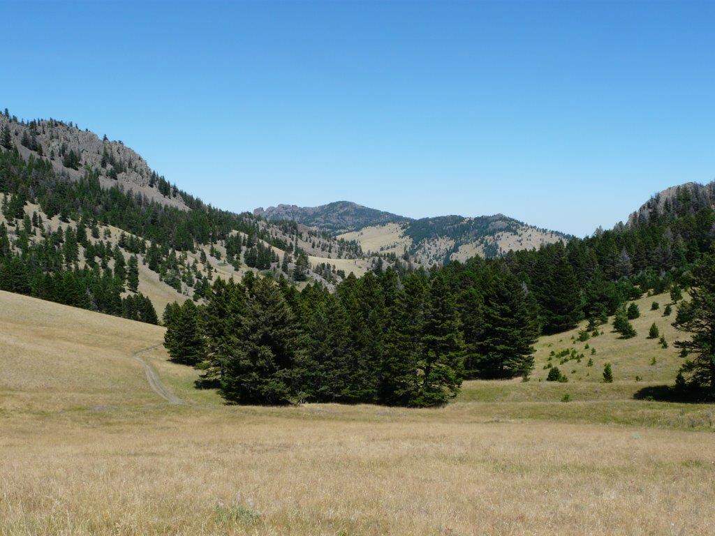 153 Black Canyon Ln, Cascade, MT 59421