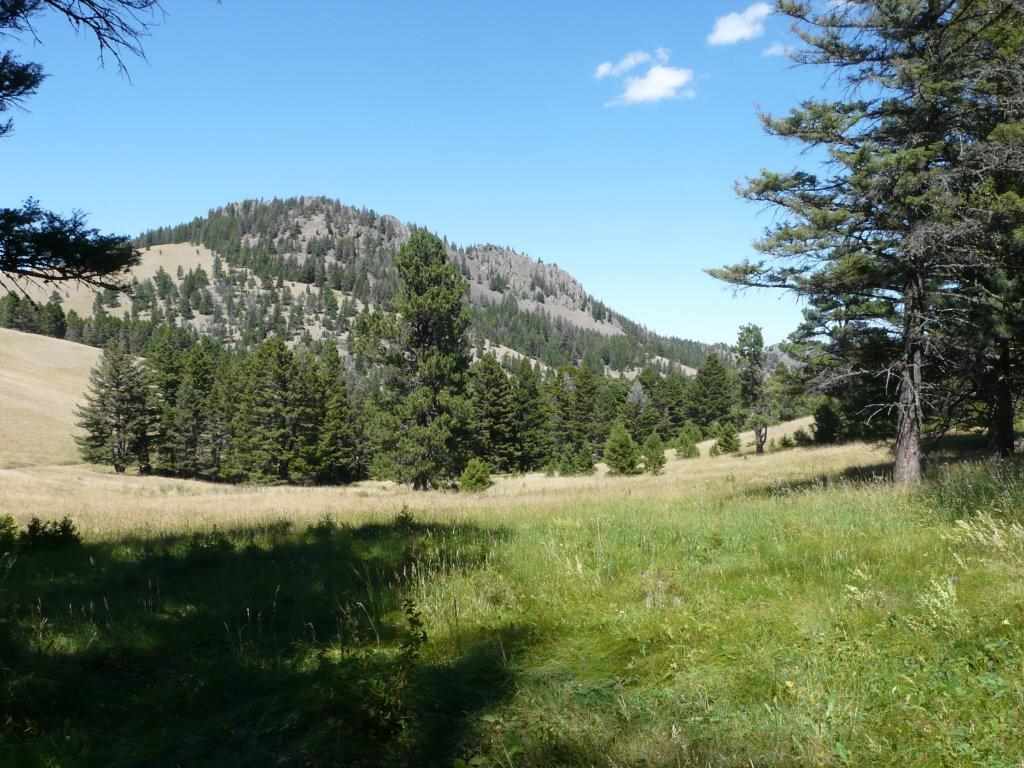 153 Black Canyon Ln, Cascade, MT 59421