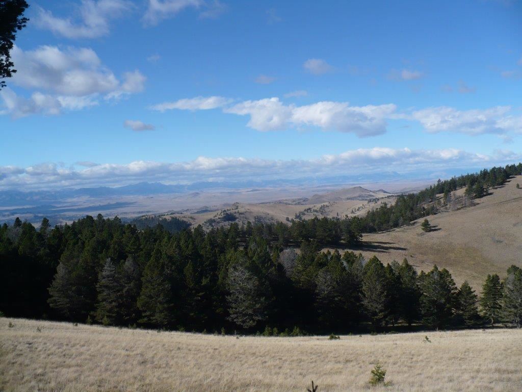 153 Black Canyon Ln, Cascade, MT 59421