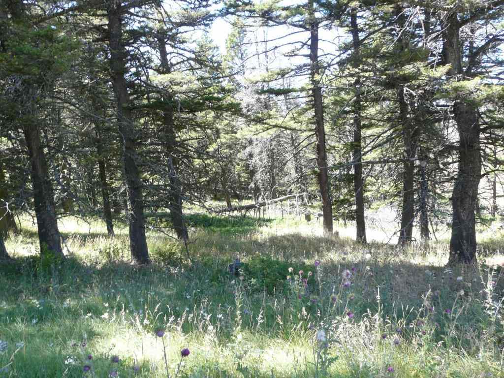 153 Black Canyon Ln, Cascade, MT 59421