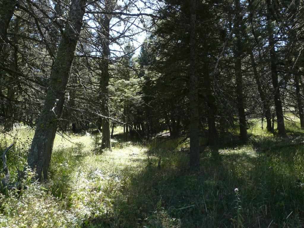 153 Black Canyon Ln, Cascade, MT 59421