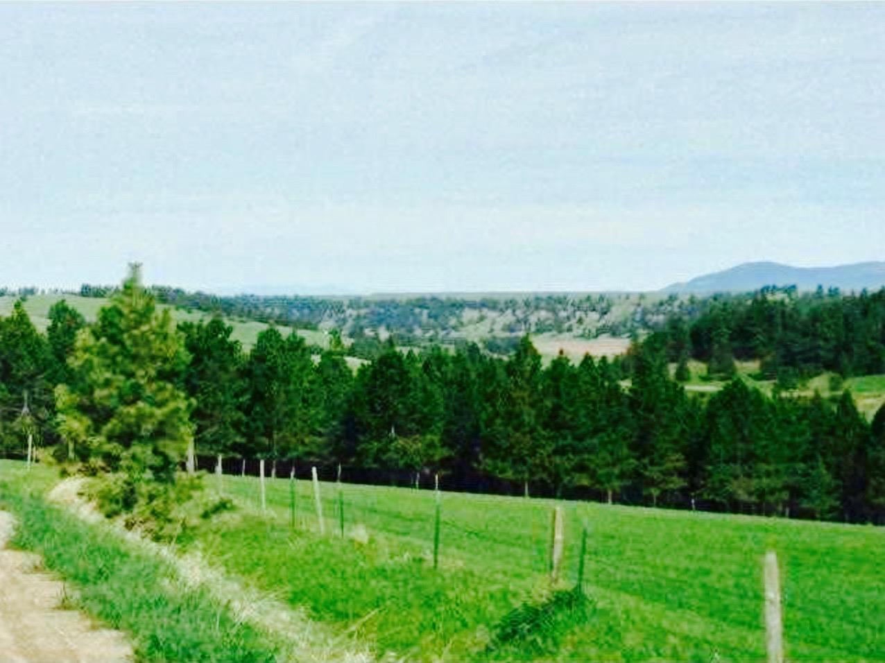TBD Grove Ln, Lewistown, Other, MT 59457