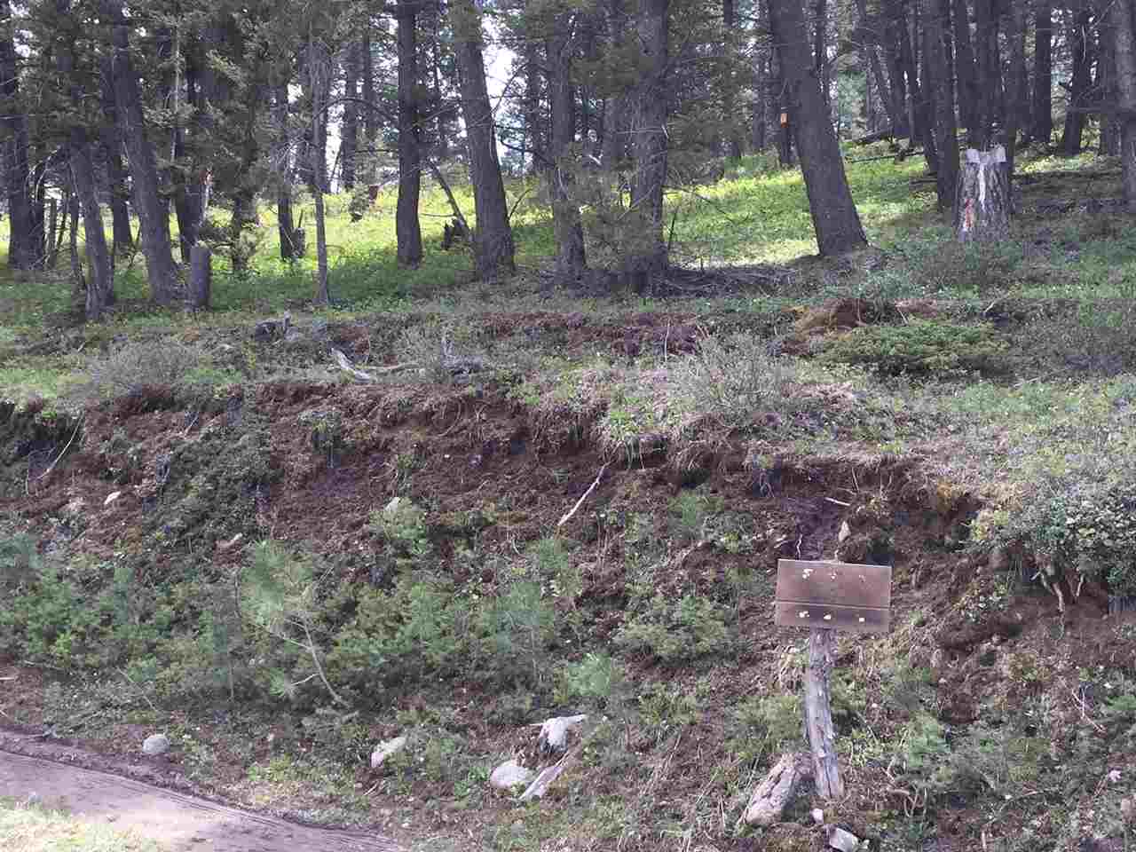 2023 Grizzly Gulch, Helena, MT 59601