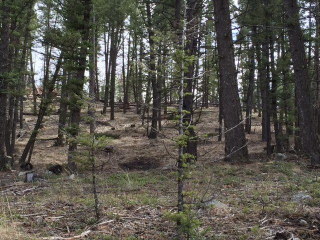 2023 Grizzly Gulch, Helena, MT 59601