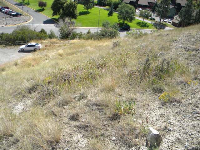 tbd Park Ave, Helena, MT 59601