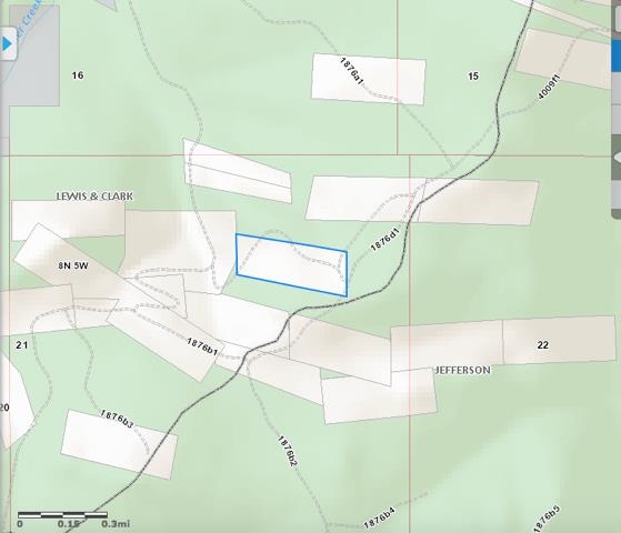 TBD Rimini, Helena, MT 59601