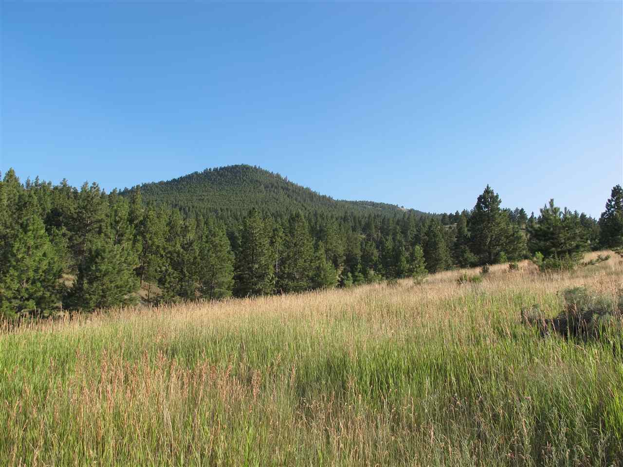 Iowa Ave, Helena, MT 59601