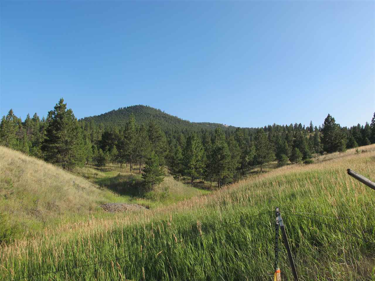 Iowa Ave, Helena, MT 59601