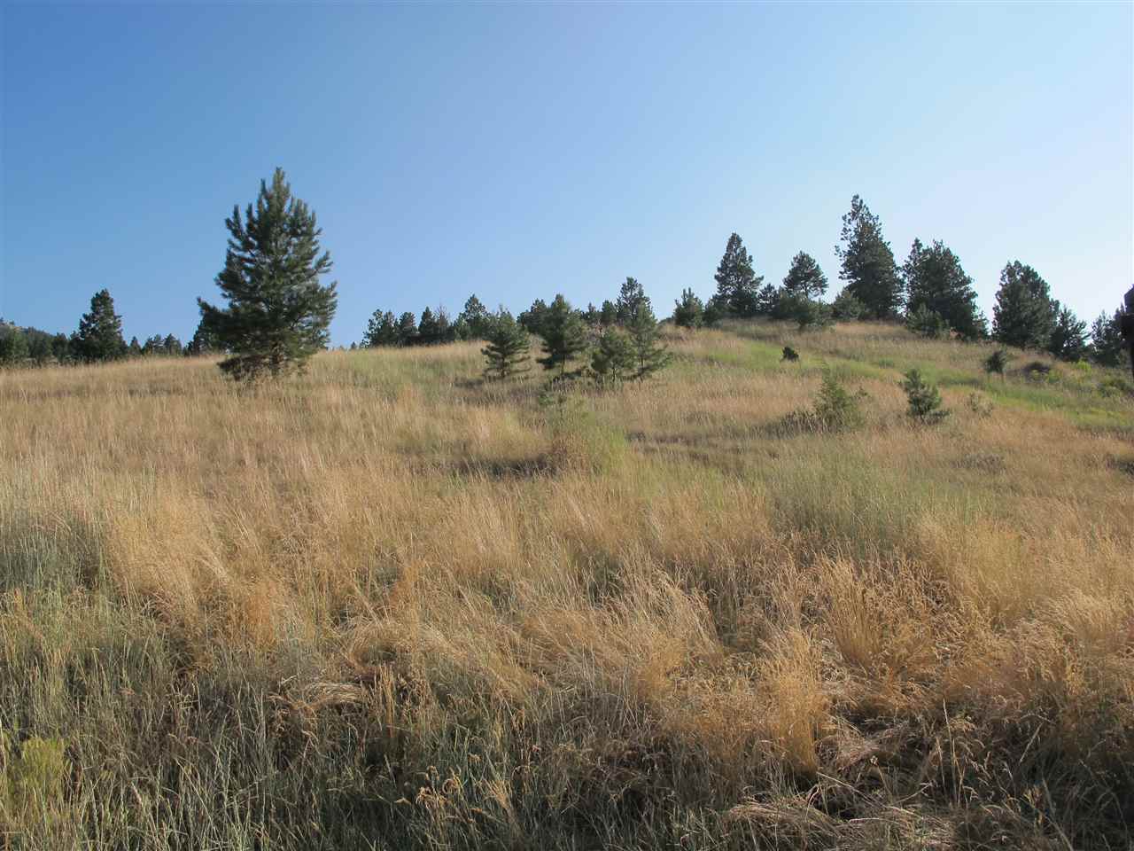 Iowa Ave, Helena, MT 59601