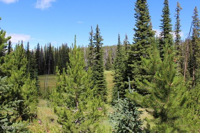Tbd Basin Creek Road, Helena, MT 59601