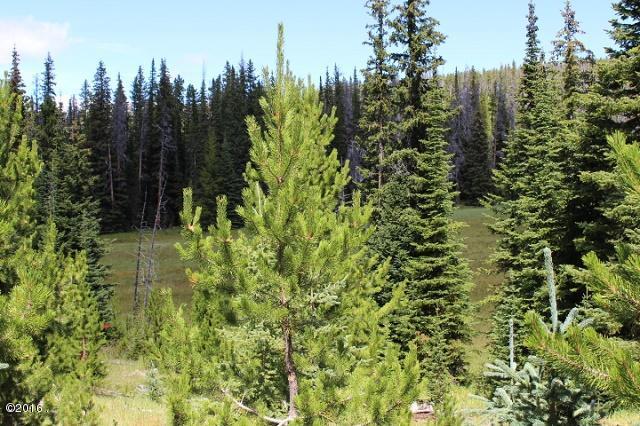 Tbd Basin Creek Road, Helena, MT 59601