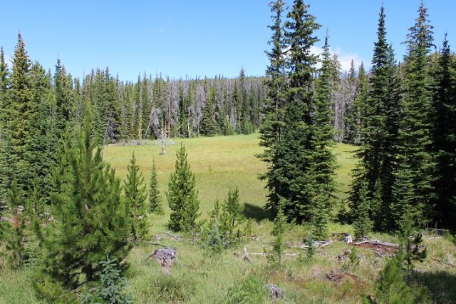 TBD Basin Creek Rd, Helena, MT 59601