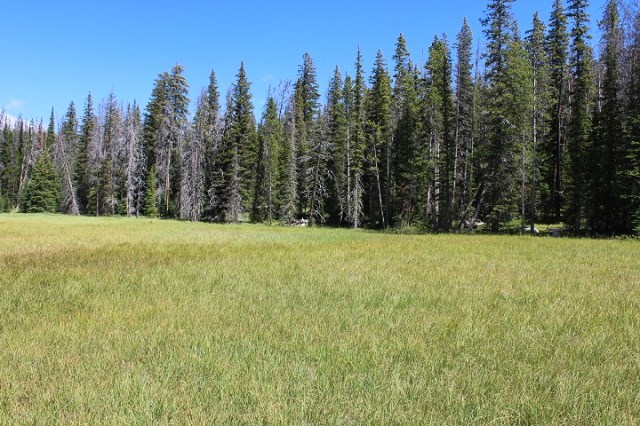TBD Basin Creek Rd, Helena, MT 59601