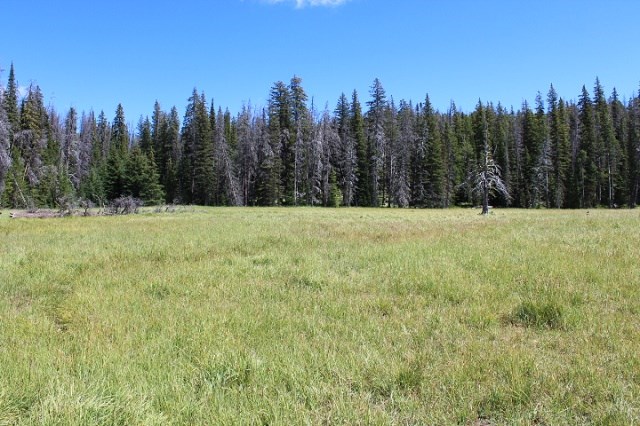 TBD Basin Creek Rd, Helena, MT 59601