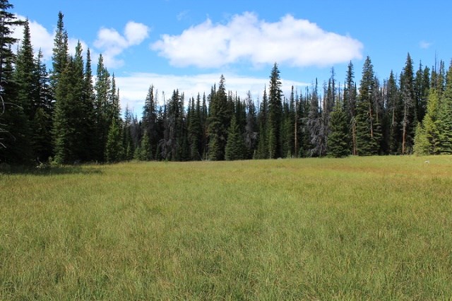TBD Basin Creek Rd, Helena, MT 59601