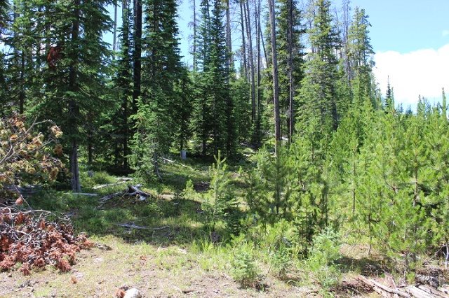 TBD Basin Creek Rd, Helena, MT 59601