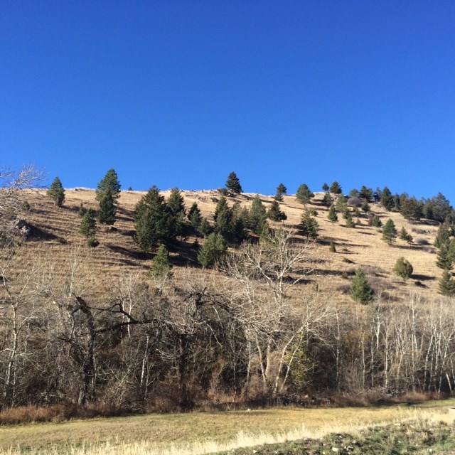 TBD Aspenway, Helena, MT 59601