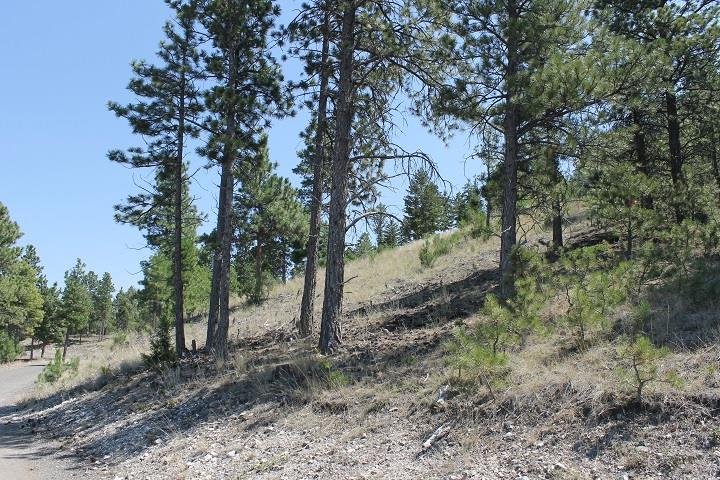 TBD South Hills Dr, Helena, MT 59601