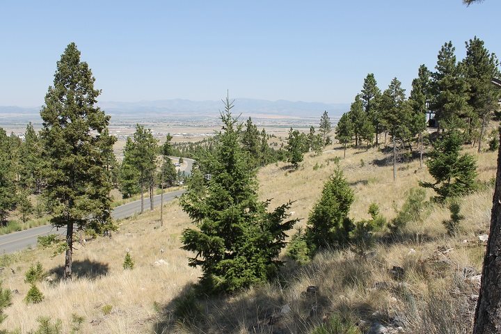 TBD South Hills Dr, Helena, MT 59601