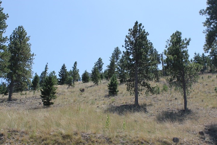 TBD South Hills Dr, Helena, MT 59601