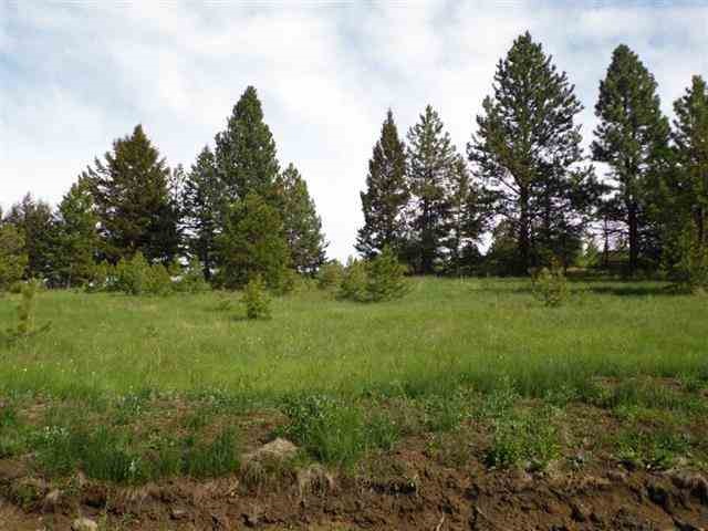 1869 Arrastra Gulch Rd, Helena, MT 59601