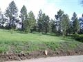 1869 Arrastra Gulch Rd, Helena, MT 59601